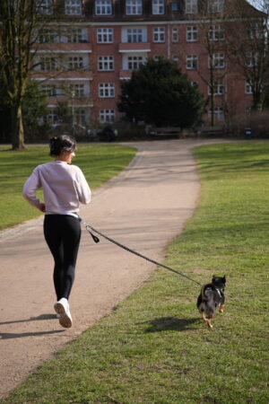 Aktiv mit Hund | ab Mi, 3. Juni, 17:30 Uhr | Eppendorfer Park