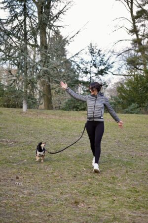 Aktiv mit Hund | ab Mo, 4. Mai, 18:00 Uhr | Niendorfer Gehege