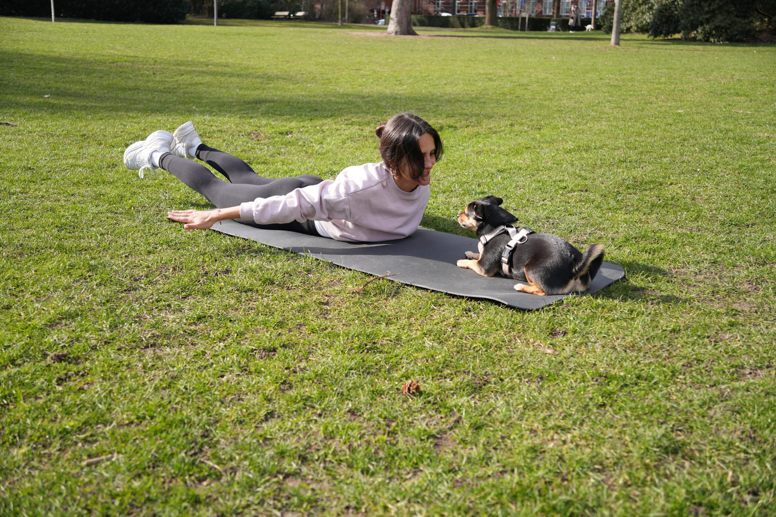 Übung Mensch im Beisein des Hundes
