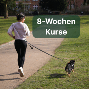 8-Wochen-Kurse
